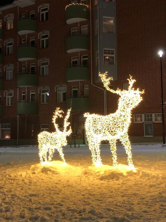 Wonderful Arctic City Apartment 罗瓦涅米 外观 照片